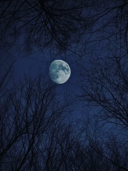 Vollmond über dem SKYPARK