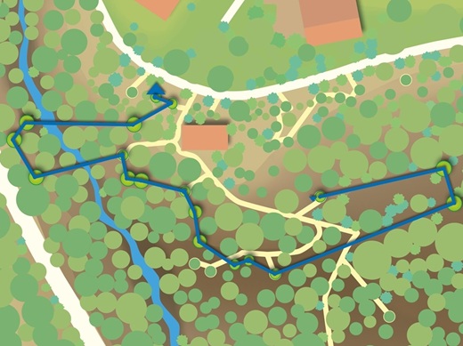 skypark Parcours Blau, Schwindelfrei, Schwieigkeitsgrad 5 (6 ist der höchste Schwierigkeitsgrad)